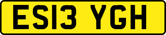 ES13YGH