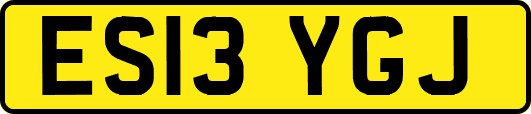 ES13YGJ