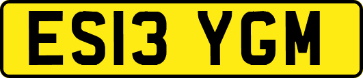 ES13YGM