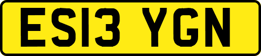 ES13YGN