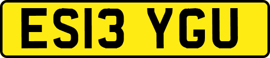 ES13YGU