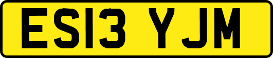 ES13YJM
