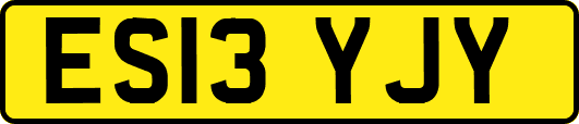 ES13YJY