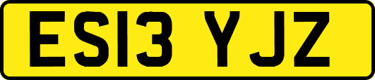 ES13YJZ