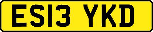ES13YKD