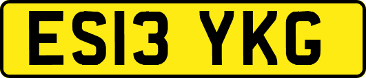 ES13YKG