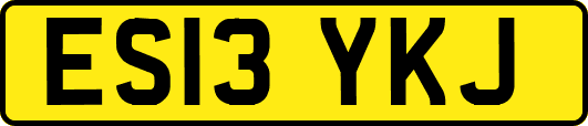 ES13YKJ