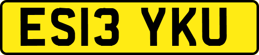 ES13YKU