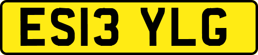 ES13YLG