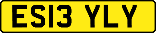 ES13YLY