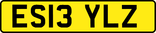 ES13YLZ