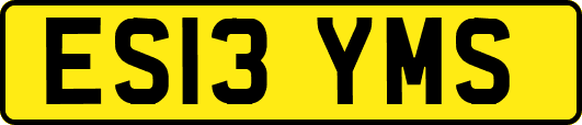 ES13YMS
