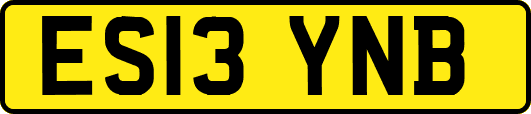 ES13YNB