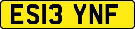ES13YNF