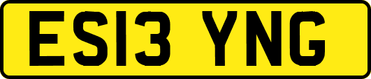 ES13YNG