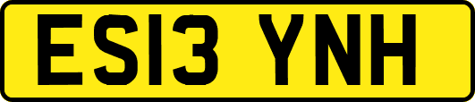 ES13YNH