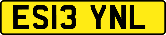 ES13YNL