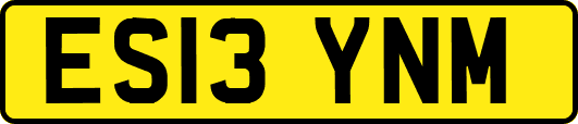 ES13YNM