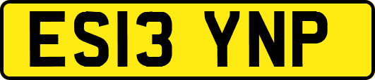 ES13YNP