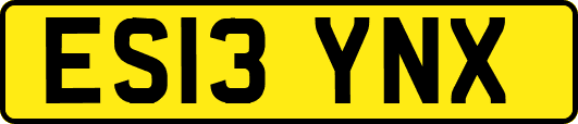 ES13YNX