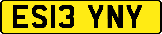 ES13YNY