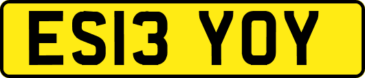 ES13YOY