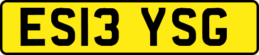 ES13YSG