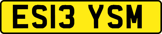ES13YSM