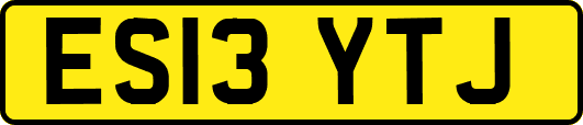 ES13YTJ