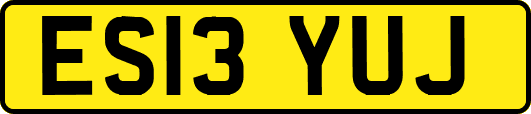ES13YUJ