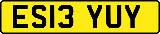 ES13YUY