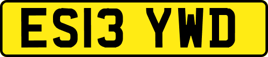 ES13YWD