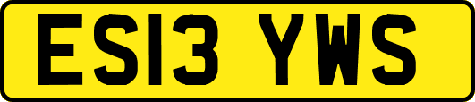 ES13YWS