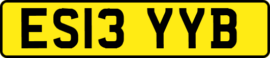 ES13YYB
