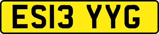 ES13YYG
