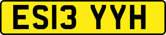 ES13YYH