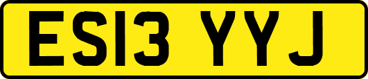ES13YYJ