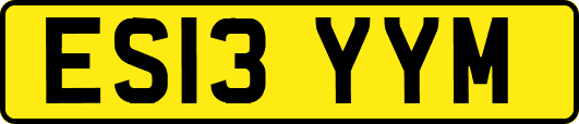 ES13YYM