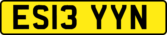 ES13YYN