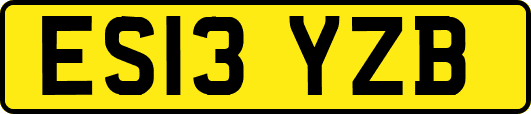 ES13YZB