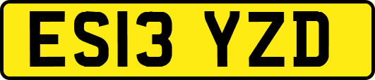 ES13YZD