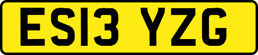 ES13YZG