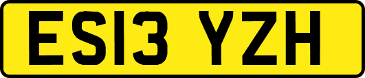 ES13YZH