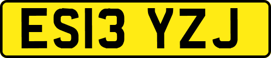 ES13YZJ