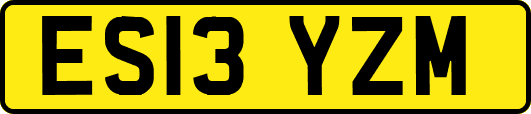 ES13YZM
