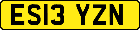 ES13YZN