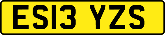 ES13YZS