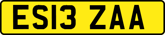 ES13ZAA