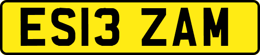 ES13ZAM