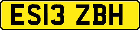 ES13ZBH